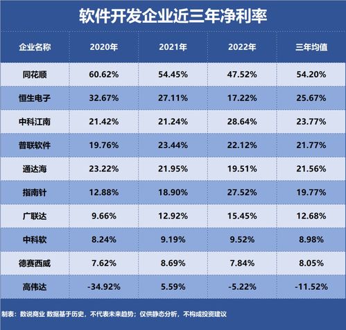 软件开发行业盈利最强企业深度解析